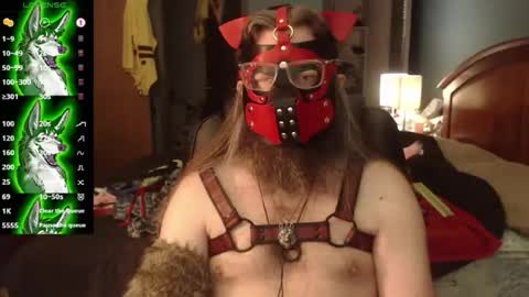 Snapshot of kinkywolf87 chatting on 07-22-26, 04:54 kinkywolf87 online show from 07-22-26, 04:54