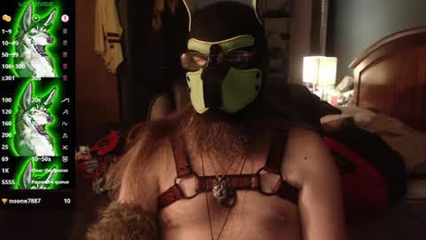 Snapshot of kinkywolf87 chatting on 07-24-26, 04:43 kinkywolf87 online show from 07-24-26, 04:43