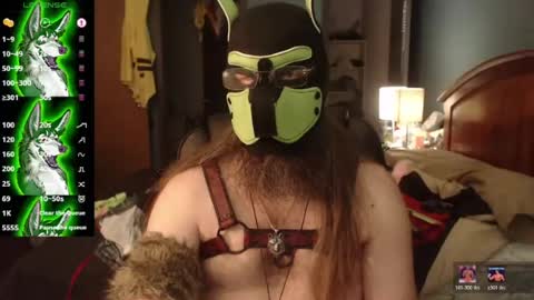 Snapshot of kinkywolf87 chatting on 07-27-26, 05:09 kinkywolf87 online show from 07-27-26, 05:09