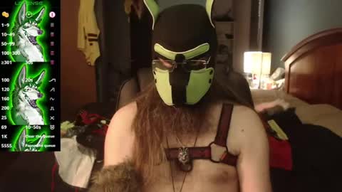 Snapshot of kinkywolf87 chatting on 07-29-26, 04:05 kinkywolf87 online show from 07-29-26, 04:05