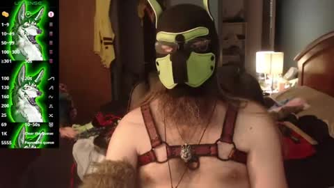 Snapshot of kinkywolf87 chatting on 07-30-26, 11:15 kinkywolf87 online show from 07-30-26, 11:15