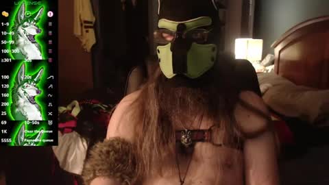 Snapshot of kinkywolf87 chatting on 08-03-26, 04:55 kinkywolf87 online show from 08-03-26, 04:55