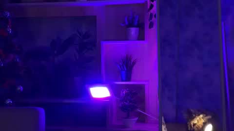 Snapshot of kiralilime chatting on 02-16-25, 04:42 Kira    online show from 02-16-25, 04:42
