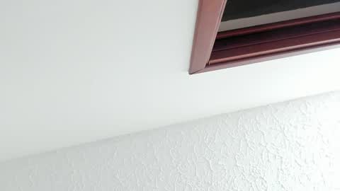 Sara online show from 02-27-26, 12:16