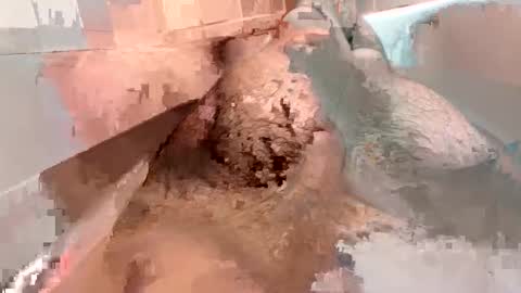 Snapshot of kitkatmac chatting on 01-03-25, 07:29 kitkatmac online show from 01-03-25, 07:29