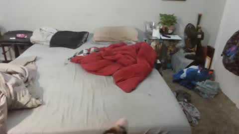 Kitten and rebellious online show from 02-20-25, 04:57