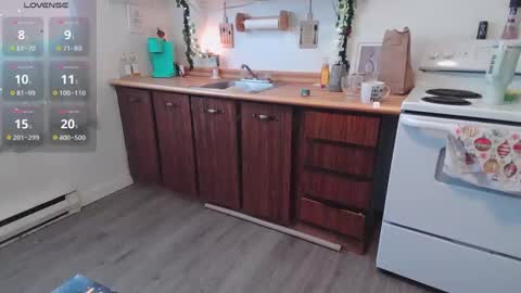 Kittyymaze online show from 12-24-24, 01:50