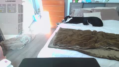 Kittyymaze online show from 01-14-25, 04:50