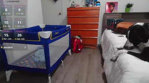 Kittyymaze online show from 01-19-25, 02:28