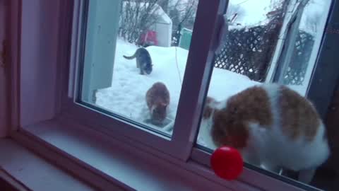 Snapshot of kiveuxmakeu chatting on 12-27-24, 09:11 kiveuxmakeu online show from 12-27-24, 09:11