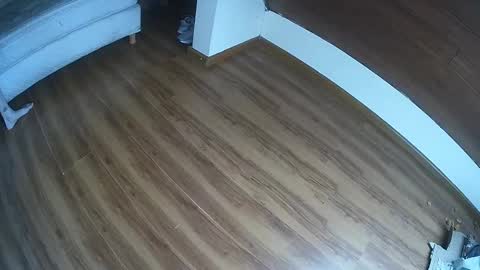 Klowrash online show from 01-30-25, 05:28