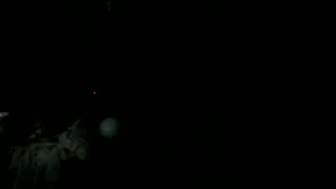 knight_rider118 online show from 03-11-25, 09:24