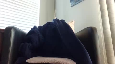 knightrider4324 online show from 12-21-24, 07:06