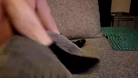 koelie1982 online show from 12-19-24, 01:28