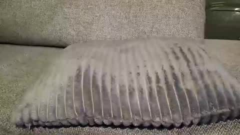 koelie1982 online show from 01-22-25, 01:10