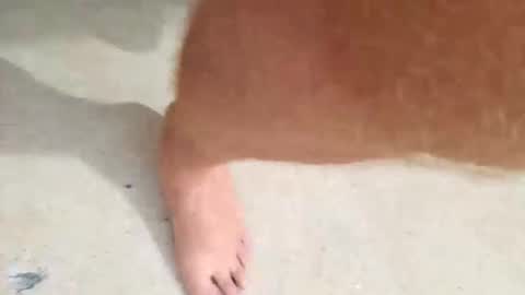 kramit1222 online show from 09-24-25, 04:43