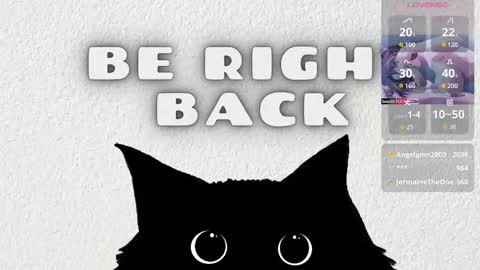   online show from 02-26-26, 04:11