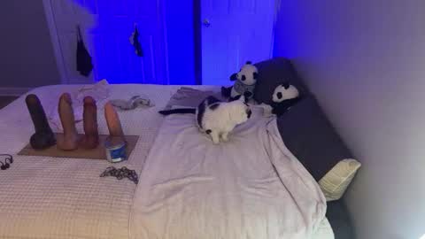 Snapshot of kristinsnowbunny chatting on 09-17-25, 04:47 Kristin Snow online show from 09-17-25, 04:47