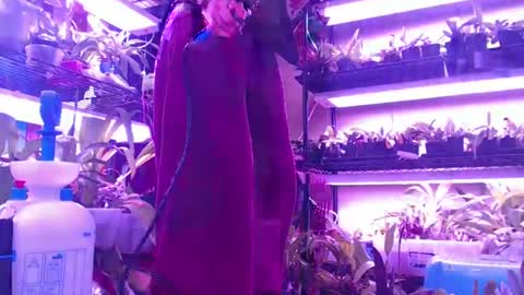 krookedorchid online show from 10-30-25, 10:06