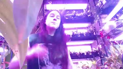 krookedorchid online show from 11-01-25, 02:52