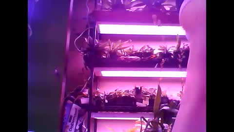 krookedorchid online show from 01-15-26, 11:48