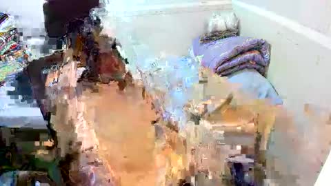 Eynah online show from 09-11-25, 04:56