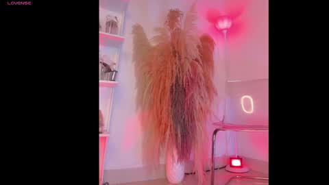 Colorina  online show from 01-12-26, 11:04