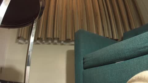 lacub online show from 02-19-25, 07:17