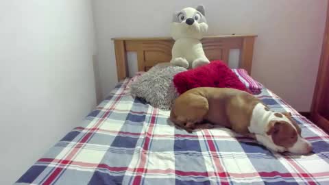 Akyra  online show from 10-21-25, 11:55