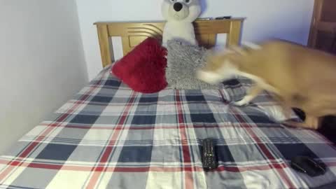 Akyra  online show from 10-25-25, 01:07