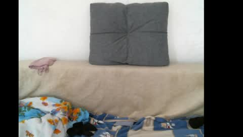 lady cute cat29 online show from 05-16-26, 10:36