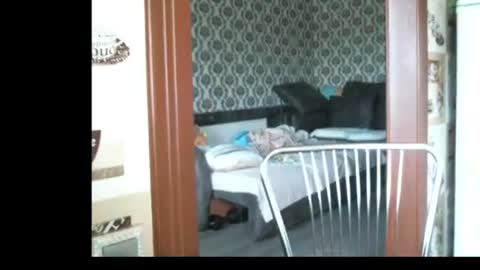 lady cute cat29 online show from 06-23-26, 02:53