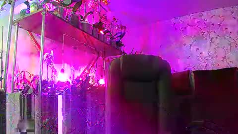 Snapshot of lady_gloria chatting on 02-15-25, 12:54 Lady Gloria online show from 02-15-25, 12:54