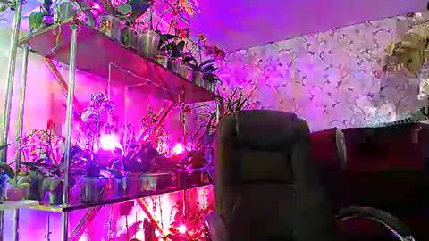 Snapshot of lady_gloria chatting on 02-22-25, 08:40 Lady Gloria online show from 02-22-25, 08:40