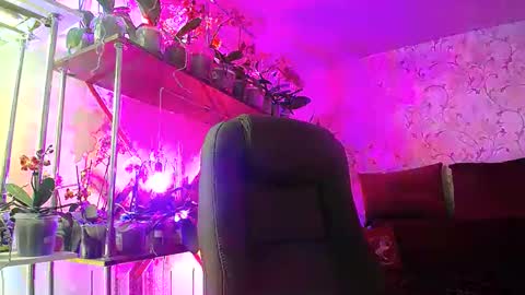 Snapshot of lady_gloria chatting on 03-05-25, 12:11 Lady Gloria online show from 03-05-25, 12:11