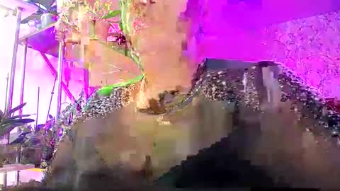 Snapshot of lady_gloria chatting on 10-25-25, 07:38 Lady Gloria online show from 10-25-25, 07:38