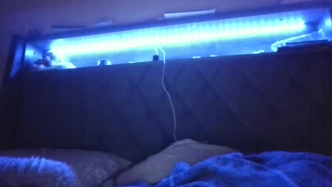 Stephanie online show from 02-24-25, 05:11