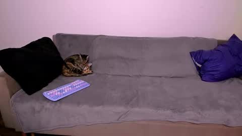 LadyTrep online show from 01-31-26, 07:56