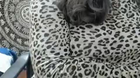 LAILA online show from 07-14-26, 12:33