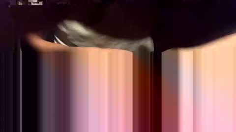 Snapshot of lalo112233vaz chatting on 11-16-25, 09:04 lalo112233vaz online show from 11-16-25, 09:04