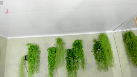 lana_lann online show from 01-09-25, 12:30