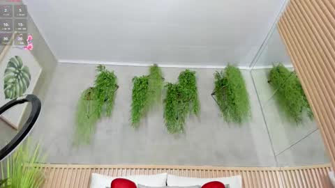 lana_lann online show from 02-28-25, 11:47