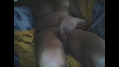 Snapshot of larop49 chatting on 10-06-25, 05:16 Larop49 online show from 10-06-25, 05:16