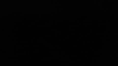 larry77733217 online show from 02-11-25, 09:56