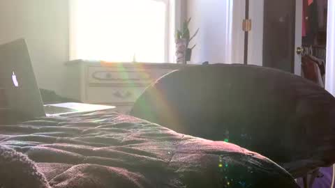 Laycee Layne online show from 12-20-25, 08:38