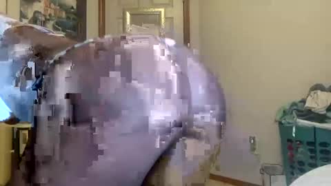 Snapshot of layla216903 chatting on 09-21-25, 06:48 layla online show from 09-21-25, 06:48