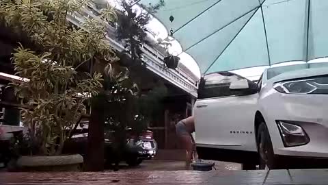 kelly online show from 11-01-25, 07:27