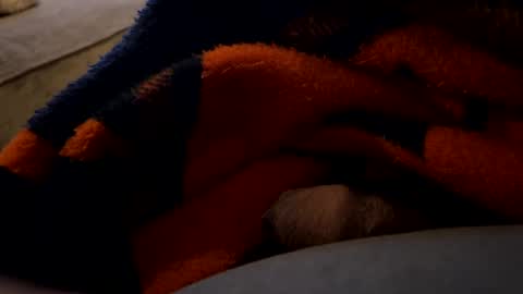 Snapshot of lc6173 chatting on 12-27-24, 01:43 lc6173 online show from 12-27-24, 01:43