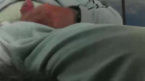 leckfreund53 online show from 10-03-25, 07:38