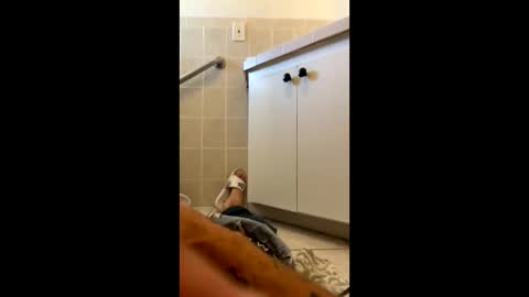 legal4 online show from 03-09-26, 06:12